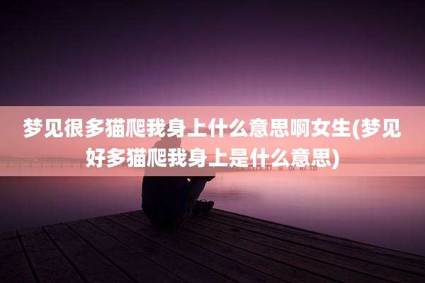 梦见很多猫爬我身上什么意思啊女生(梦见好多猫爬我身上是什么意思)