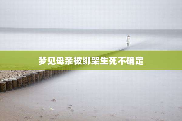 梦见母亲被绑架生死不确定