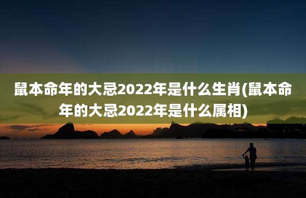 鼠本命年的大忌2022年是什么生肖(鼠本命年的大忌2022年是什么属相)