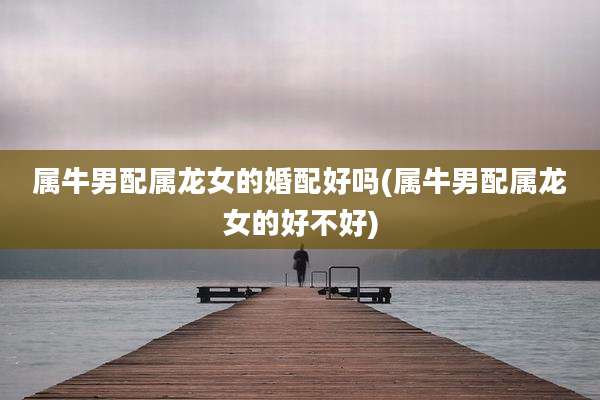 属牛男配属龙女的婚配好吗(属牛男配属龙女的好不好)