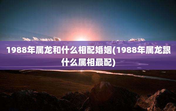 1988年属龙和什么相配婚姻(1988年属龙跟什么属相最配)