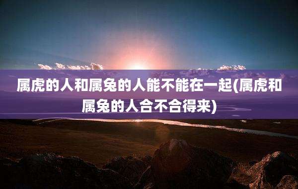 属虎的人和属兔的人能不能在一起(属虎和属兔的人合不合得来)