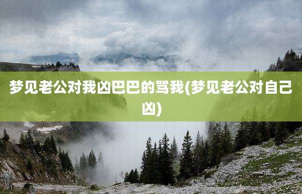梦见老公对我凶巴巴的骂我(梦见老公对自己凶)