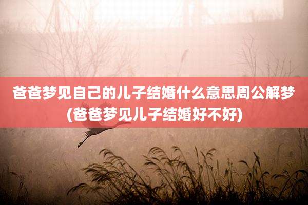 爸爸梦见自己的儿子结婚什么意思周公解梦(爸爸梦见儿子结婚好不好)