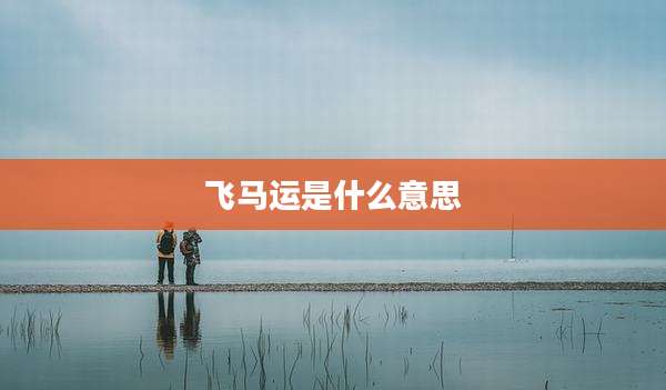 飞马运是什么意思