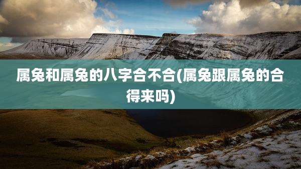 属兔和属兔的八字合不合(属兔跟属兔的合得来吗)