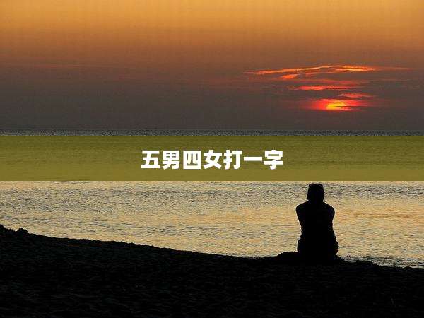 五男四女打一字