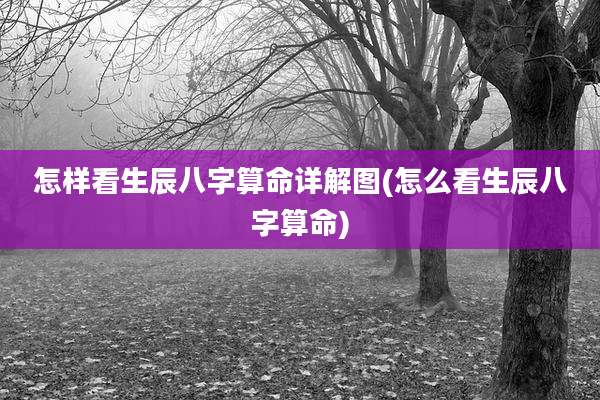 怎样看生辰八字算命详解图(怎么看生辰八字算命)