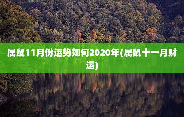 属鼠11月份运势如何2020年(属鼠十一月财运)