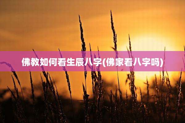 佛教如何看生辰八字(佛家看八字吗)