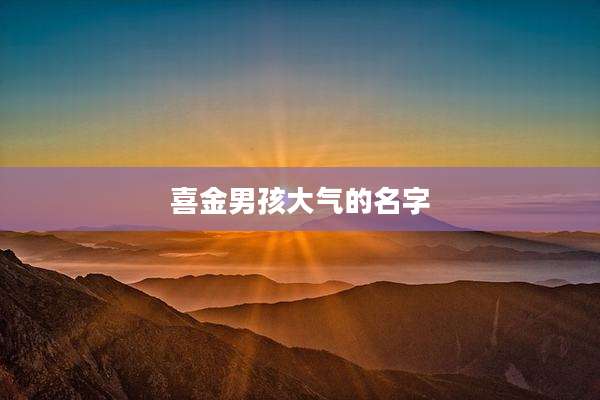 喜金男孩大气的名字