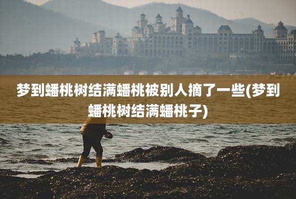 梦到蟠桃树结满蟠桃被别人摘了一些(梦到蟠桃树结满蟠桃子)