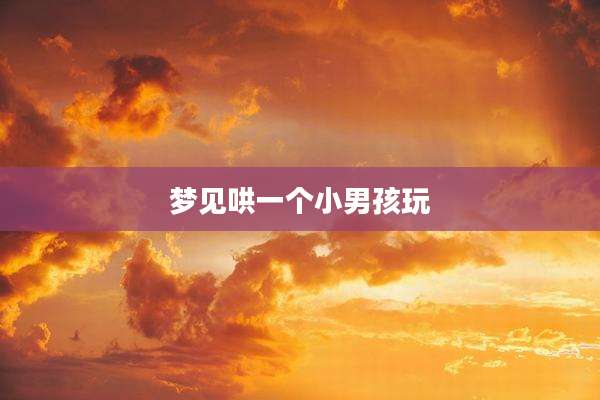 梦见哄一个小男孩玩