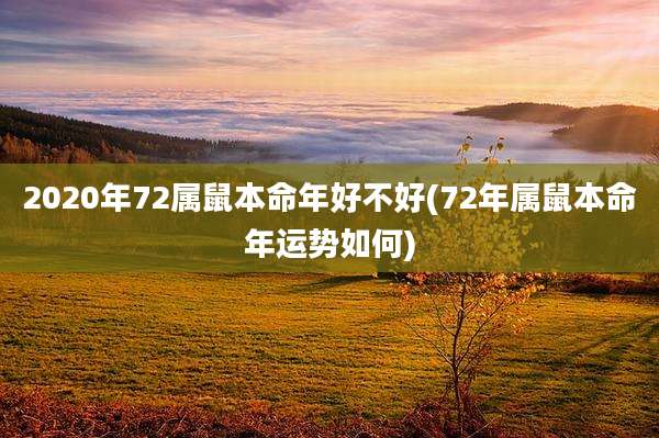 2020年72属鼠本命年好不好(72年属鼠本命年运势如何)