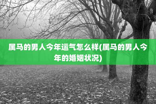 属马的男人今年运气怎么样(属马的男人今年的婚姻状况)