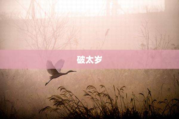 破太岁