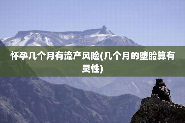 怀孕几个月有流产风险(几个月的堕胎算有灵性)