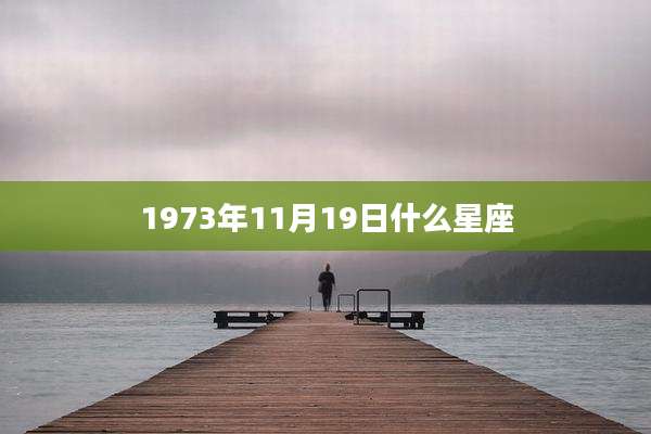 1973年11月19日什么星座