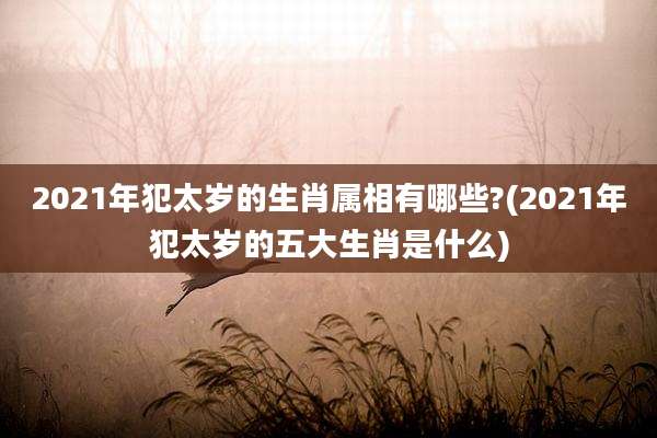 2021年犯太岁的生肖属相有哪些?(2021年犯太岁的五大生肖是什么)