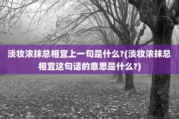 淡妆浓抹总相宜上一句是什么?(淡妆浓抹总相宜这句话的意思是什么?)