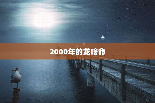 2000年的龙啥命