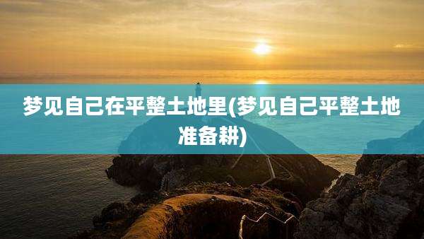 梦见自己在平整土地里(梦见自己平整土地准备耕)