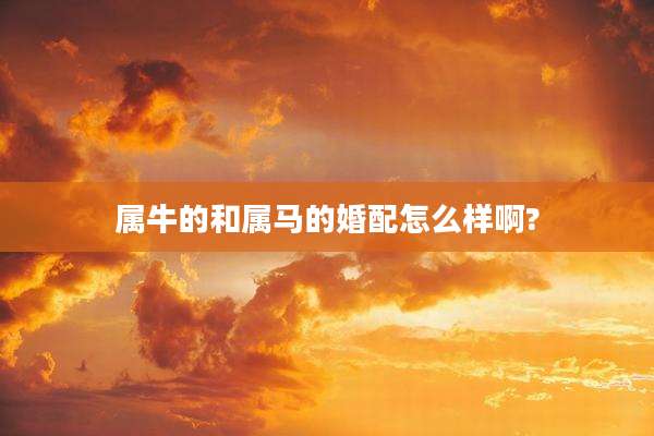 属牛的和属马的婚配怎么样啊?