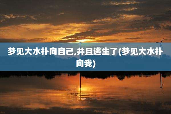 梦见大水扑向自己,并且逃生了(梦见大水扑向我)