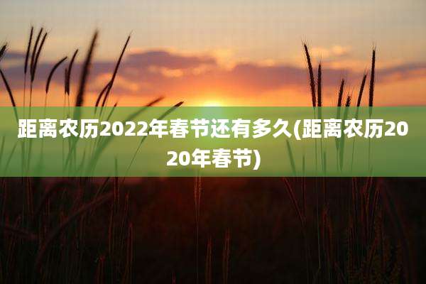 距离农历2022年春节还有多久(距离农历2020年春节)