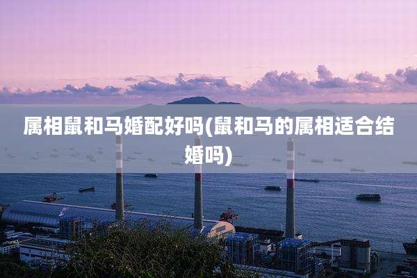 属相鼠和马婚配好吗(鼠和马的属相适合结婚吗)