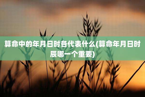 算命中的年月日时各代表什么(算命年月日时辰哪一个重要)