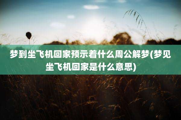 梦到坐飞机回家预示着什么周公解梦(梦见坐飞机回家是什么意思)