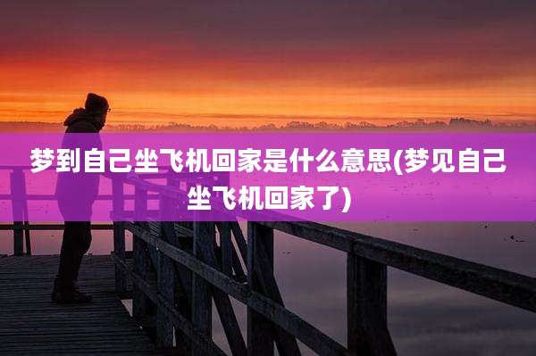 梦到自己坐飞机回家是什么意思(梦见自己坐飞机回家了)