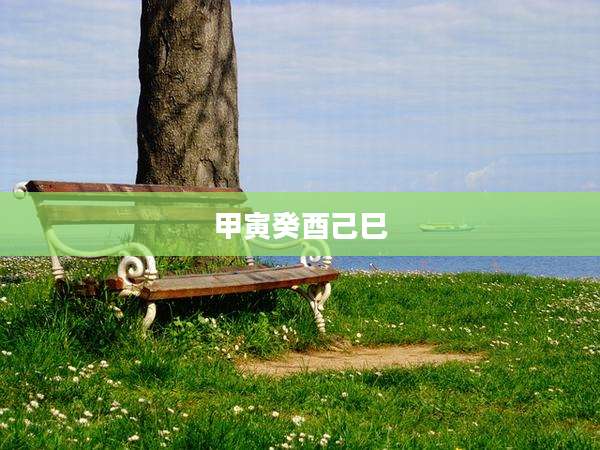 甲寅癸酉己巳