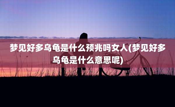 梦见好多乌龟是什么预兆吗女人(梦见好多乌龟是什么意思呢)