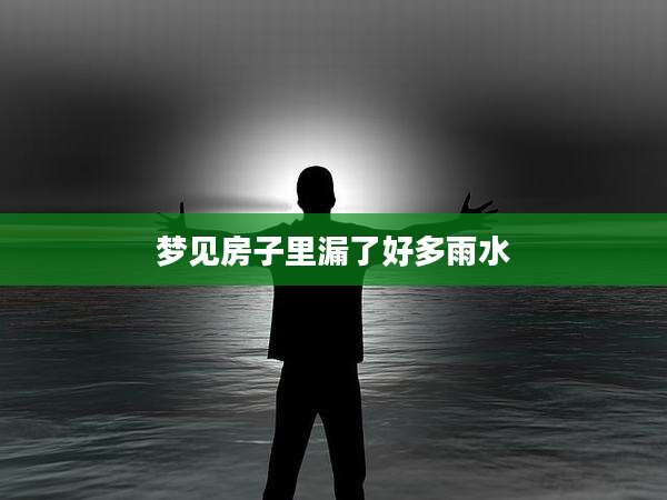梦见房子里漏了好多雨水