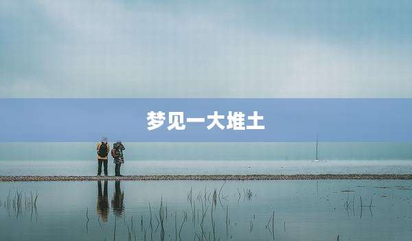梦见一大堆土