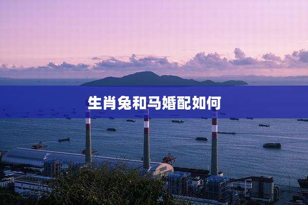 生肖兔和马婚配如何