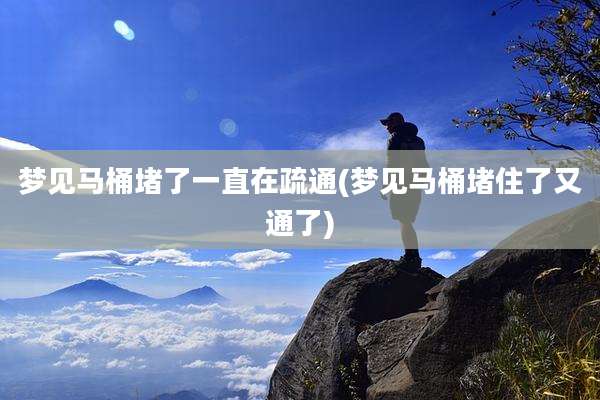 梦见马桶堵了一直在疏通(梦见马桶堵住了又通了)