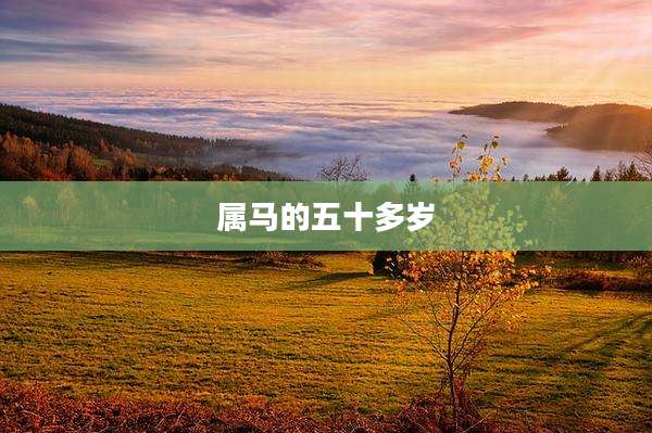 属马的五十多岁