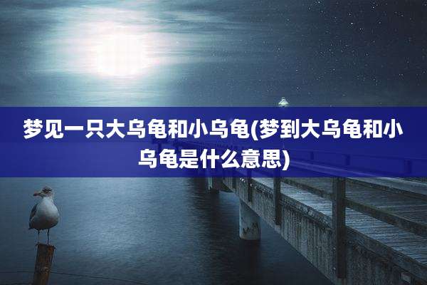 梦见一只大乌龟和小乌龟(梦到大乌龟和小乌龟是什么意思)