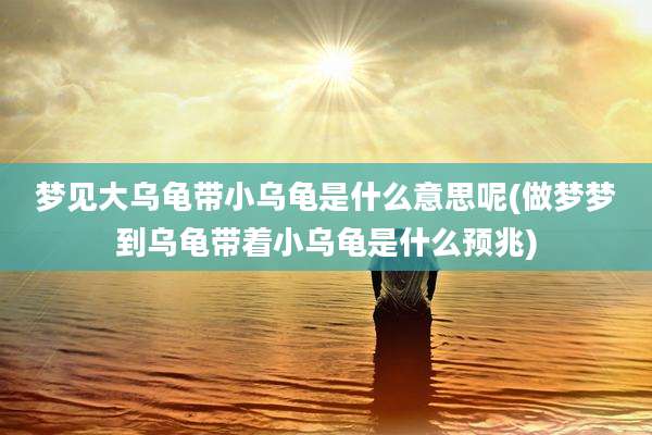 梦见大乌龟带小乌龟是什么意思呢(做梦梦到乌龟带着小乌龟是什么预兆)