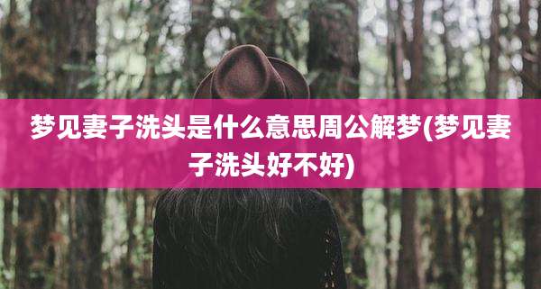 梦见妻子洗头是什么意思周公解梦(梦见妻子洗头好不好)
