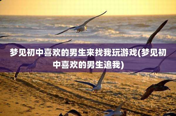 梦见初中喜欢的男生来找我玩游戏(梦见初中喜欢的男生追我)