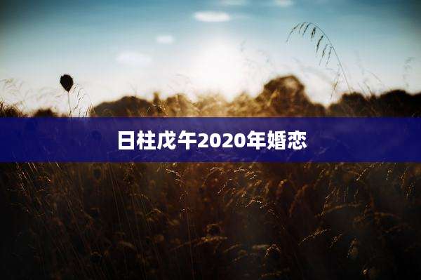 日柱戊午2020年婚恋