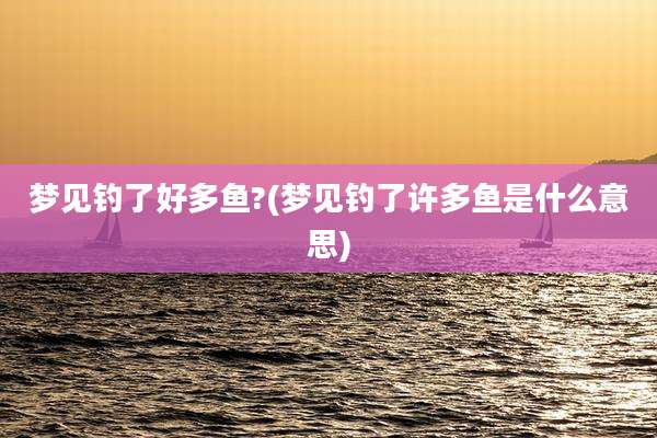 梦见钓了好多鱼?(梦见钓了许多鱼是什么意思)