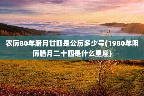 农历80年腊月廿四是公历多少号(1980年阴历腊月二十四是什么星座)