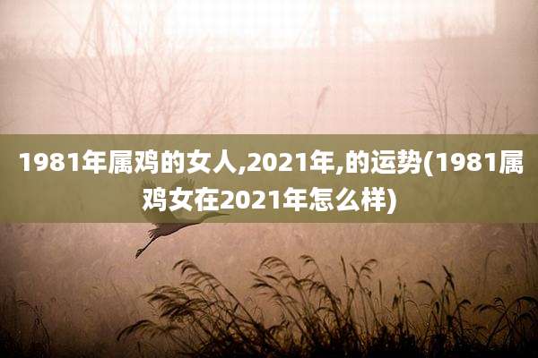 1981年属鸡的女人,2021年,的运势(1981属鸡女在2021年怎么样)