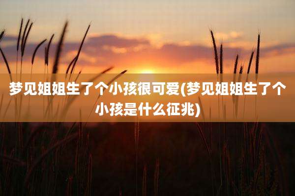 梦见姐姐生了个小孩很可爱(梦见姐姐生了个小孩是什么征兆)