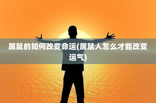 属鼠的如何改变命运(属鼠人怎么才能改变运气)